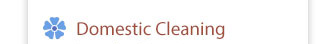 Domestic Cleaning